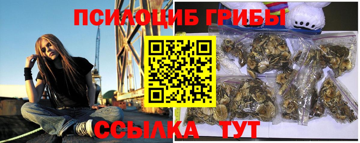 Галлюциногенные грибы Magic Shrooms  магазин продажи наркотиков  Пушкино  Вход с VPN 